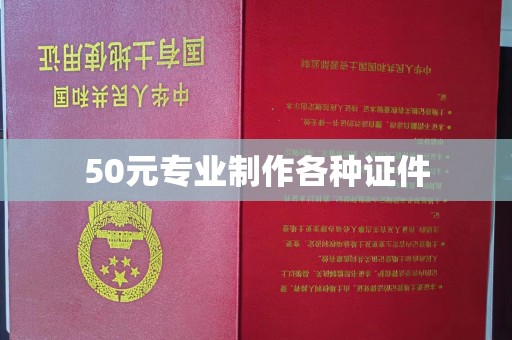 玛多50元专业制作各种证件