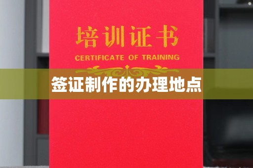 玛多签证制作的办理地点