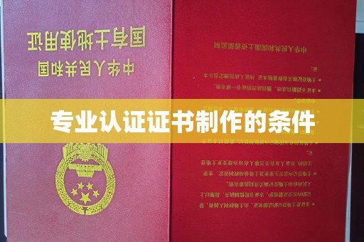 玛多专业认证证书制作的条件