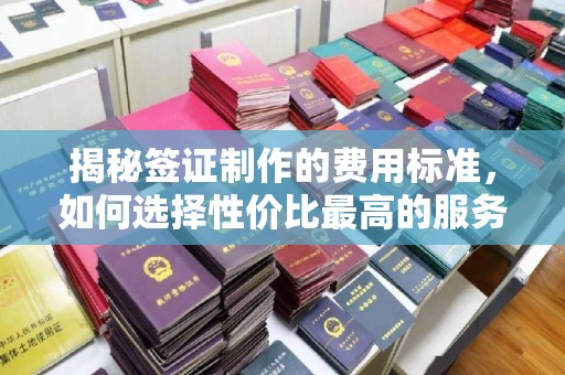 玛多揭秘签证制作的费用标准，如何选择性价比最高的服务？