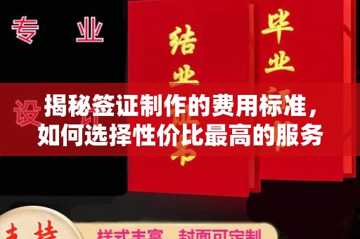 玛多揭秘签证制作的费用标准，如何选择性价比最高的服务？