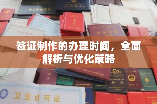 玛多签证制作的办理时间，全面解析与优化策略