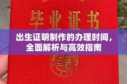 玛多出生证明制作的办理时间，全面解析与高效指南