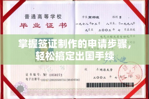 玛多掌握签证制作的申请步骤，轻松搞定出国手续