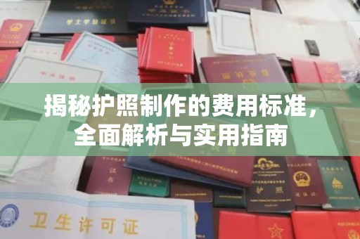 玛多揭秘护照制作的费用标准，全面解析与实用指南