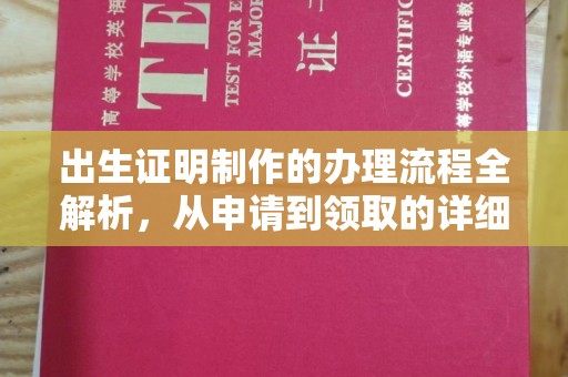 玛多出生证明制作的办理流程全解析，从申请到领取的详细指南