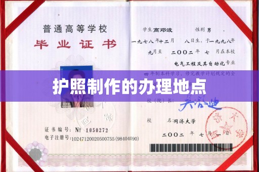 玛多护照制作的办理地点