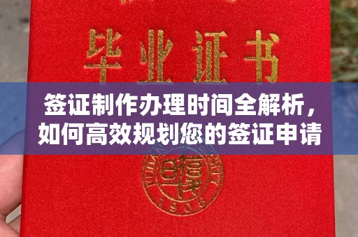 玛多签证制作办理时间全解析，如何高效规划您的签证申请流程