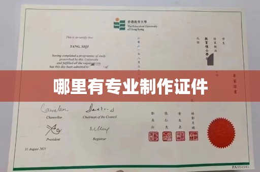 玛多哪里有专业制作证件