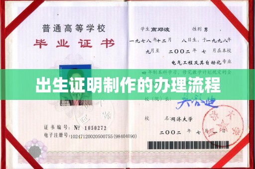 玛多出生证明制作的办理流程