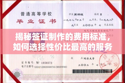玛多揭秘签证制作的费用标准，如何选择性价比最高的服务？