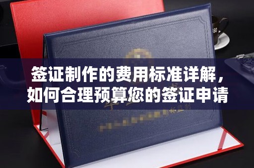 玛多签证制作的费用标准详解，如何合理预算您的签证申请成本