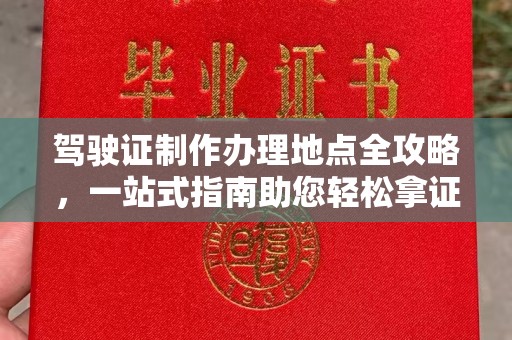 玛多驾驶证制作办理地点全攻略，一站式指南助您轻松拿证