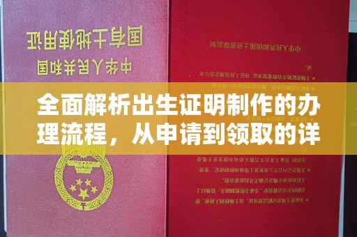 玛多全面解析出生证明制作的办理流程，从申请到领取的详细指南