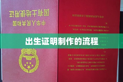 玛多出生证明制作的流程
